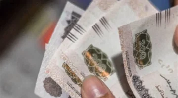 فئات جديدة وموعد الصرف.. ضوابط استحقاق معاش تكافل وكرامة لشهر فبراير 2026